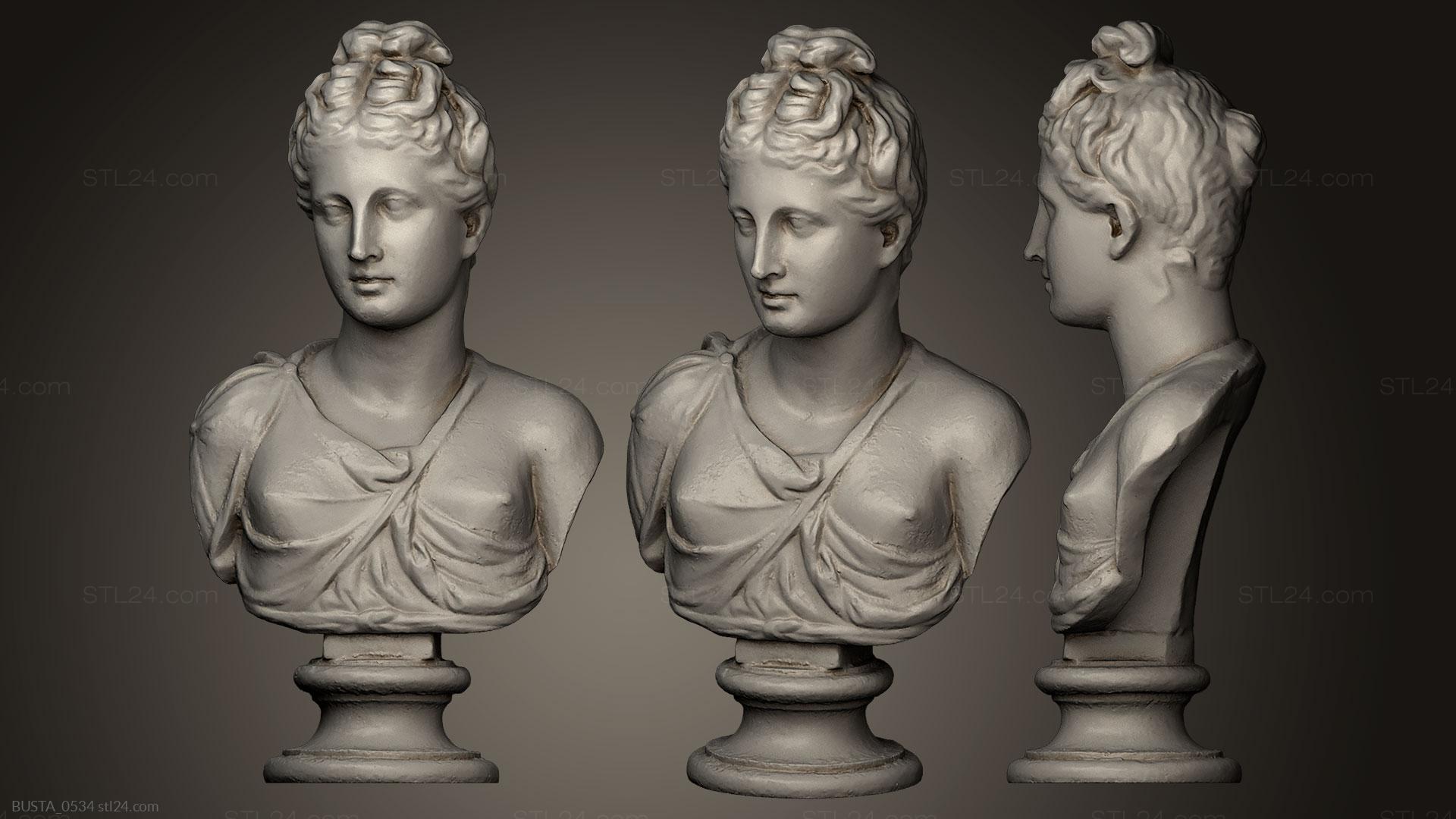 Бюсты и головы античные и исторические (Неизвестная Женщина, BUSTA_0534) 3D модель для ЧПУ станка